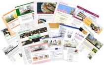 ホームページ作成